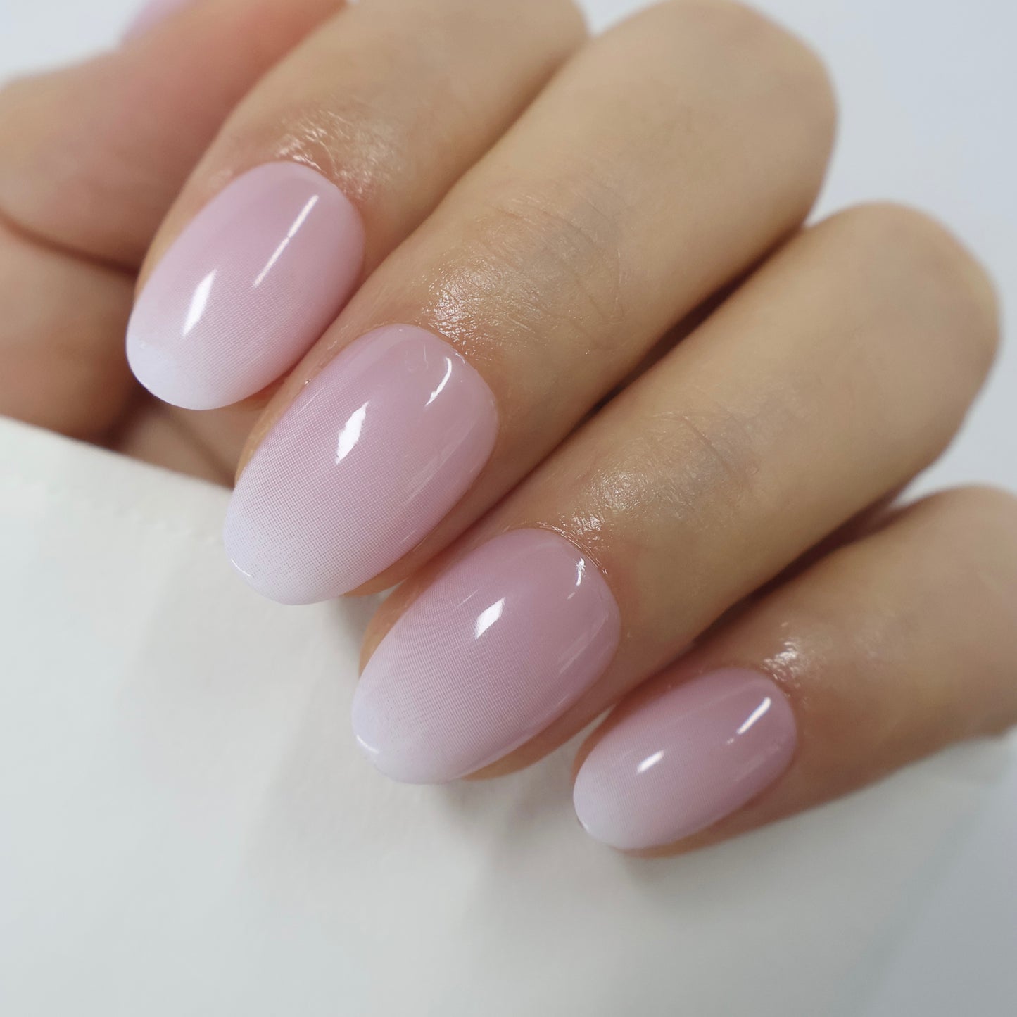Pink white ombré oval