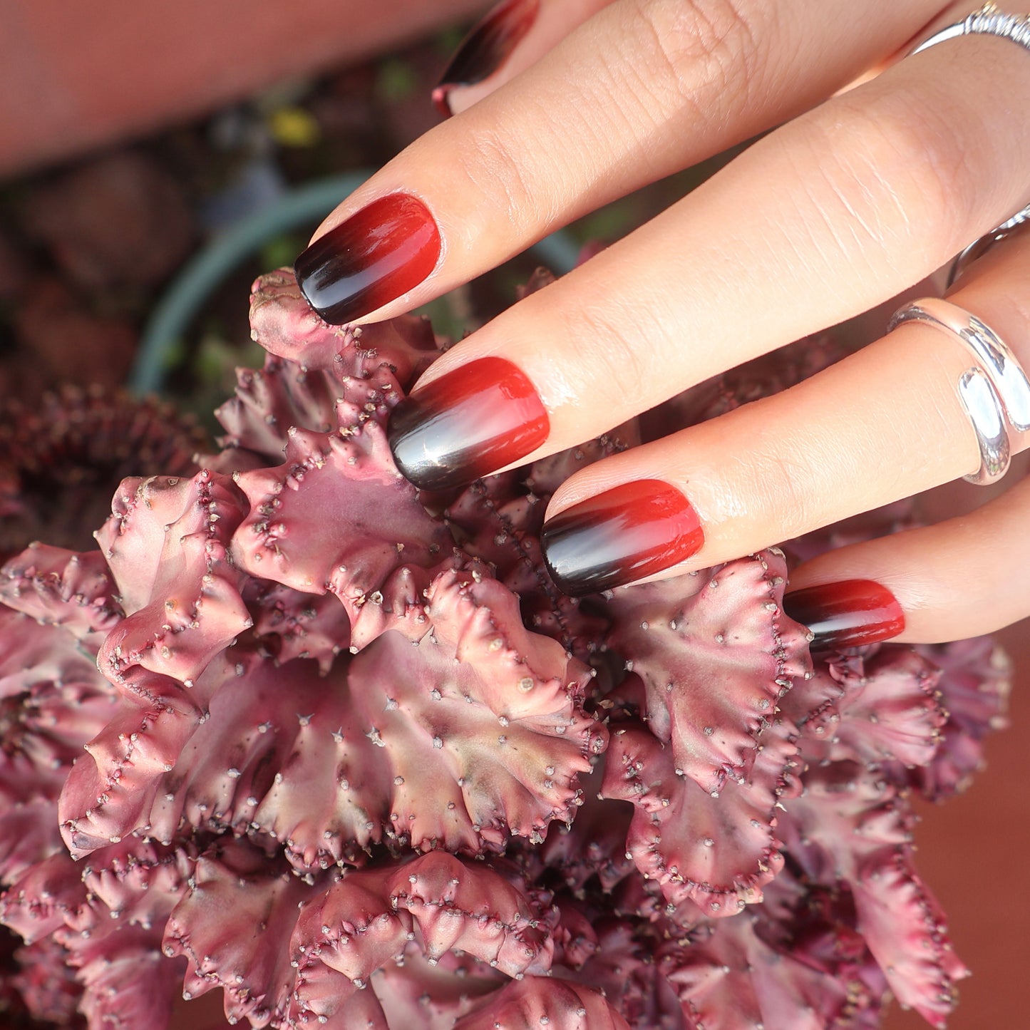Maniye Crimson Twilight Red Black Ombre Press On Nails