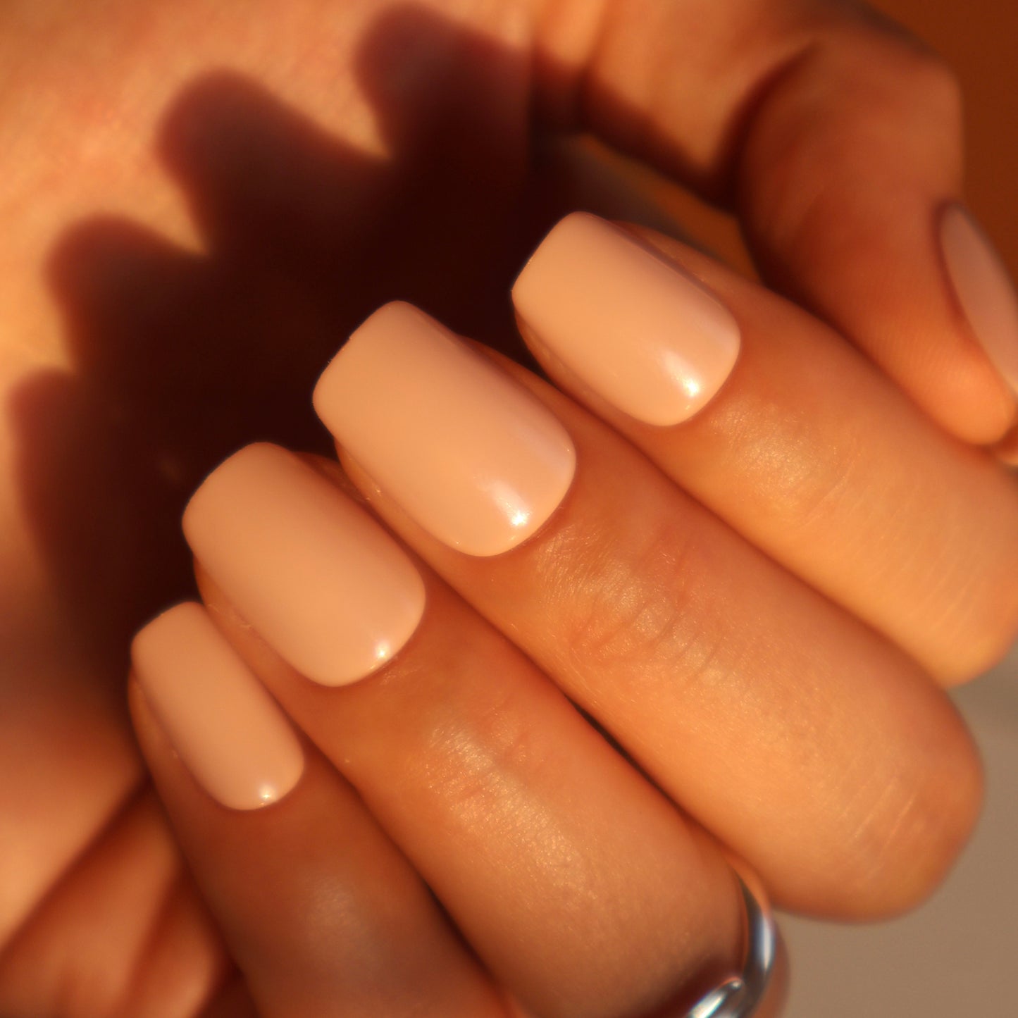 Maniye Ballet Slippers Press On Nails